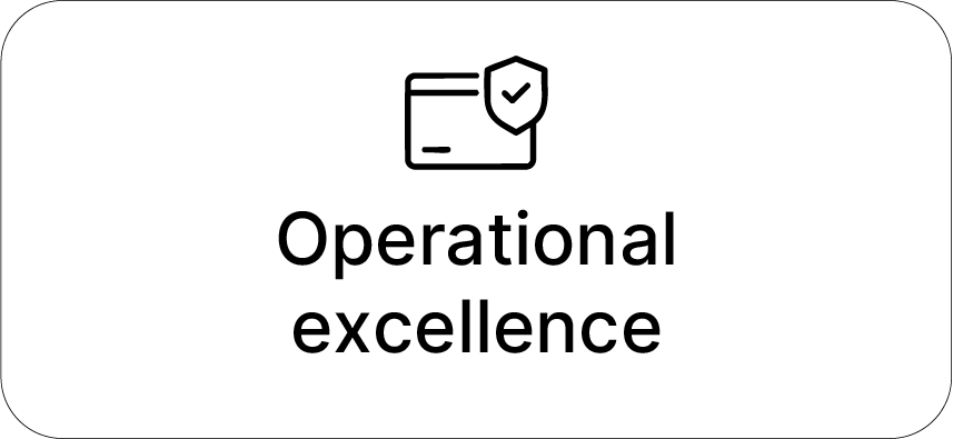 Operational Excellence-Payantis