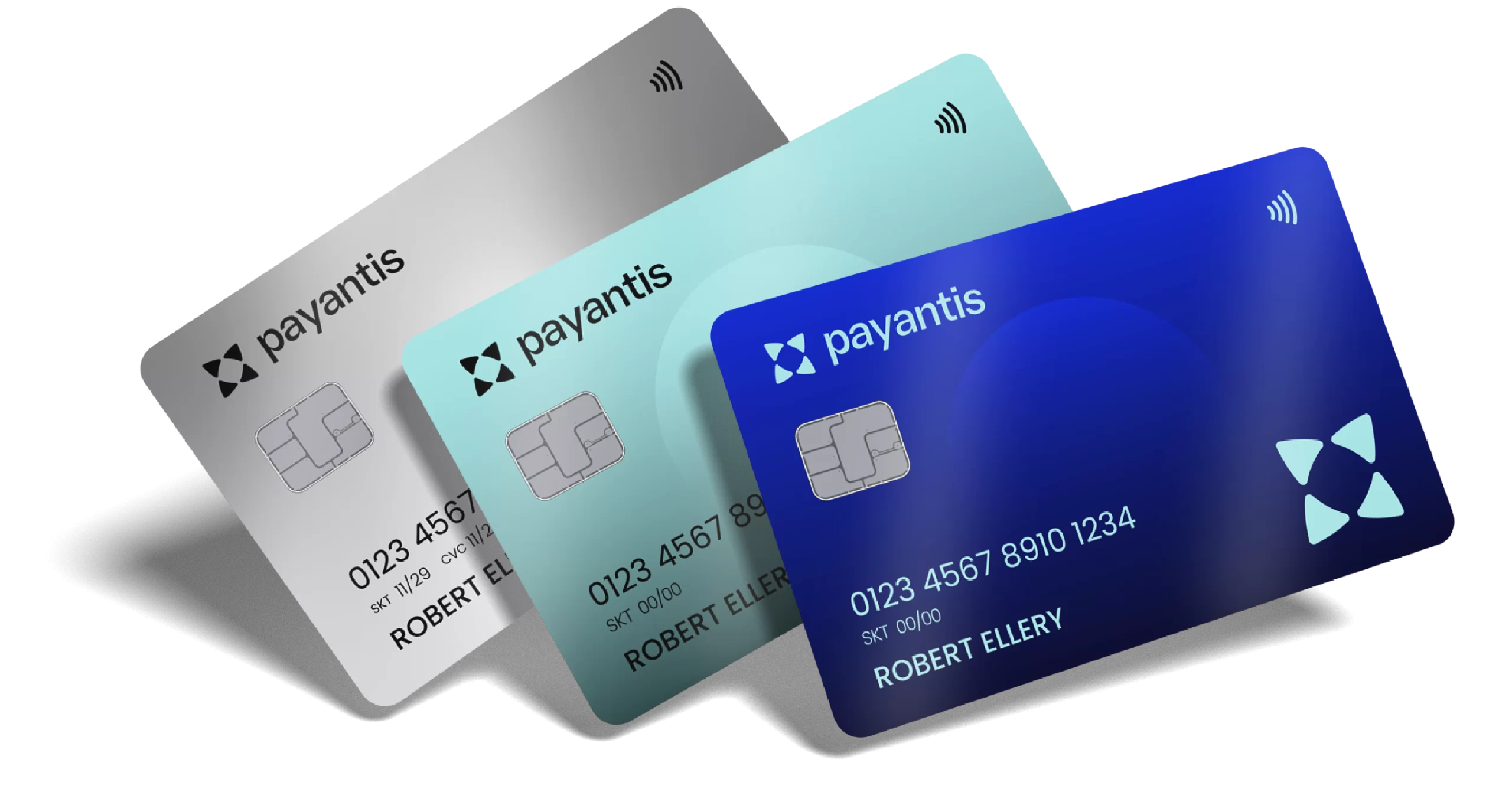 Platform Technology Payantis